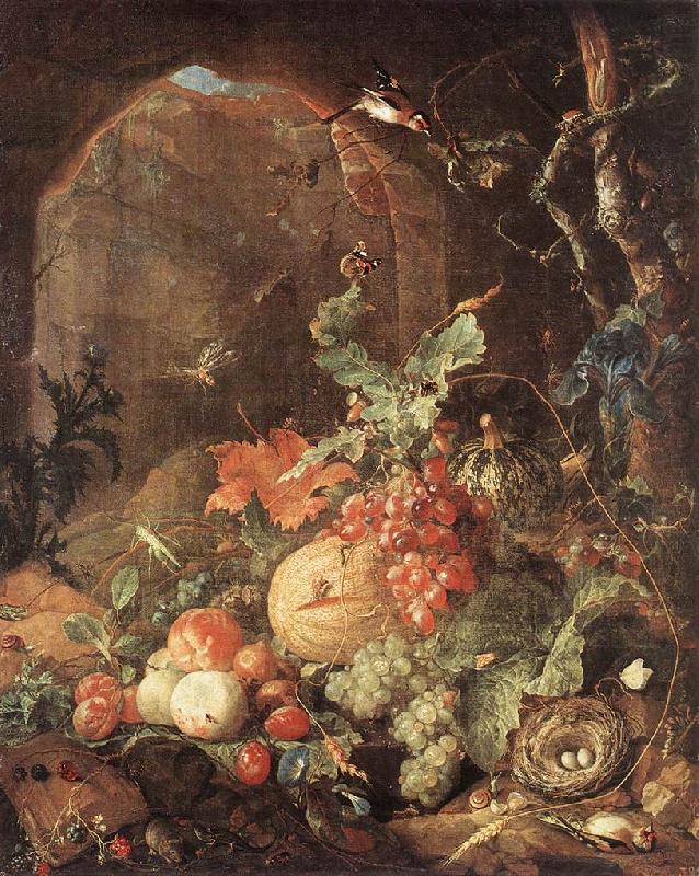 Jan Davidsz. de Heem Still-life w Bird-nest china oil painting image